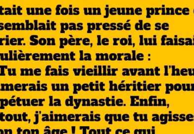 La Blague du Prince Indécis Une Histoire Hilarante à Raconter le Soir