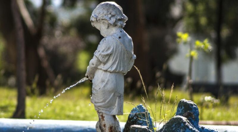 L’urine humaine, le super engrais que tout le monde a sous la main (mais personne n’ose utiliser)