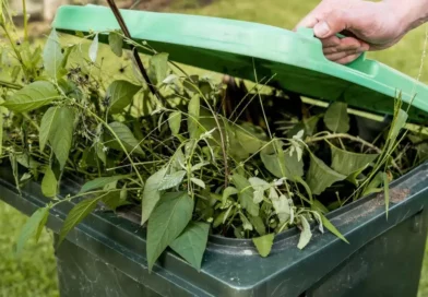 Voici les 9 choses a ne jamais mettre dans sa poubelle de jardin selon les experts