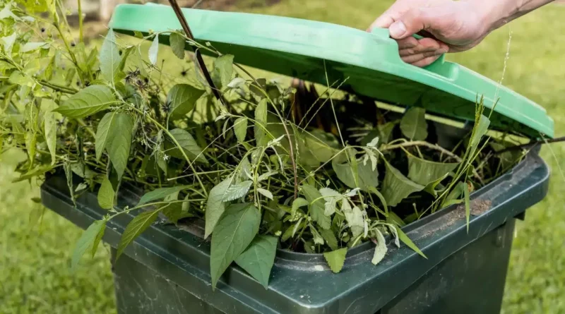 Voici les 9 choses a ne jamais mettre dans sa poubelle de jardin selon les experts