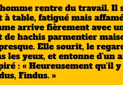 blague findus