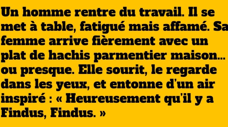 blague findus