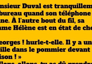 blague gorille dans le pommier