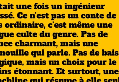 blague ingénieur