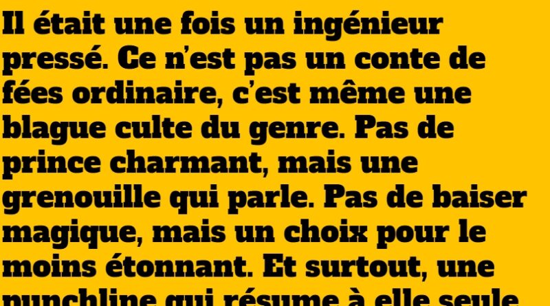 blague ingénieur
