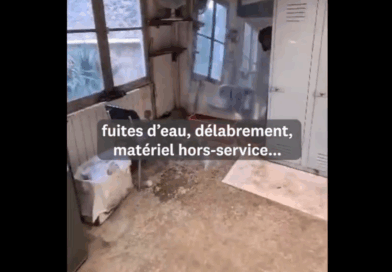 Scandale à La Lanterne : un jardinier muté après avoir dénoncé les conditions déplorables de travail
