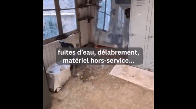 Scandale à La Lanterne : un jardinier muté après avoir dénoncé les conditions déplorables de travail