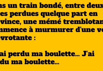 blague mamie et sa boulette