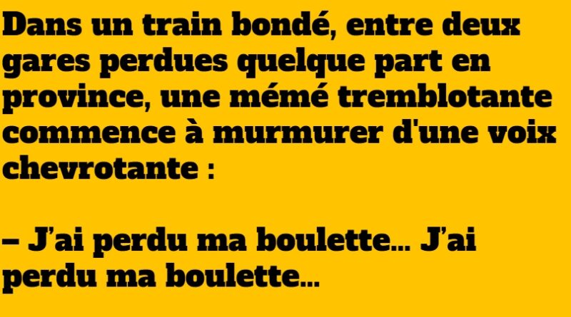 blague mamie et sa boulette