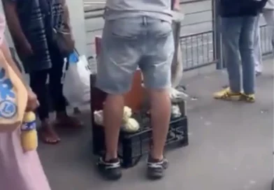 aliments trorroirs.jpeg