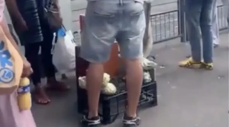 aliments trorroirs.jpeg