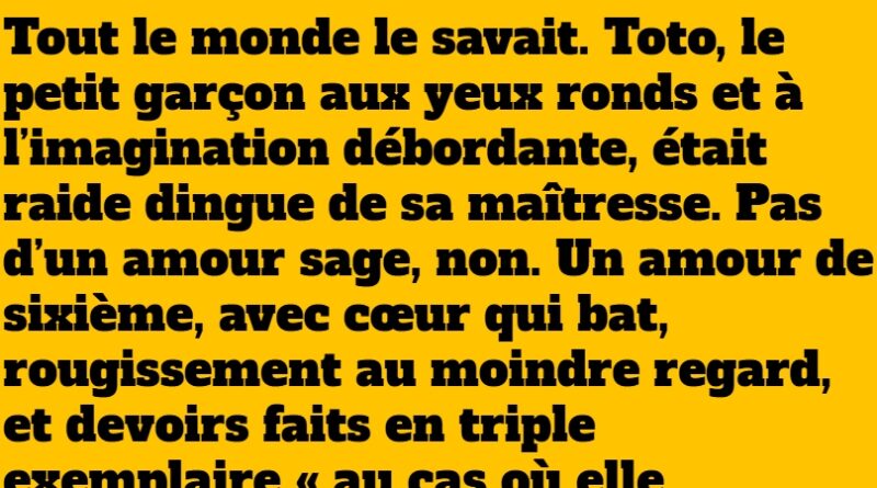 blague devinette de toto