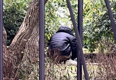 "Il s’est accroupi et il a commencé à dépiauter un pigeon",