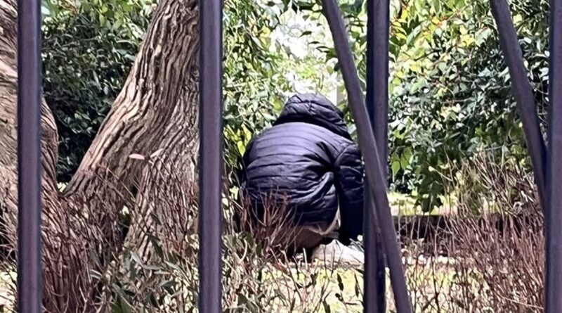 "Il s’est accroupi et il a commencé à dépiauter un pigeon",