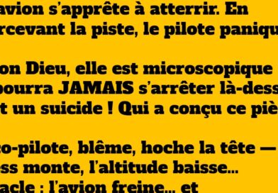 blague avion