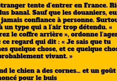 blague chèvre