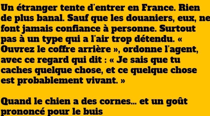 blague chèvre