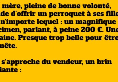 blague le vieux robert