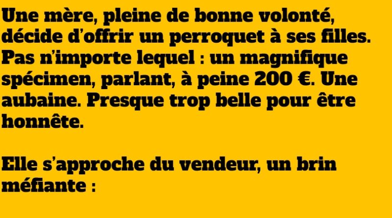 blague le vieux robert