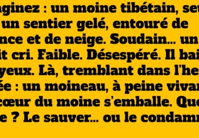 blague moineau