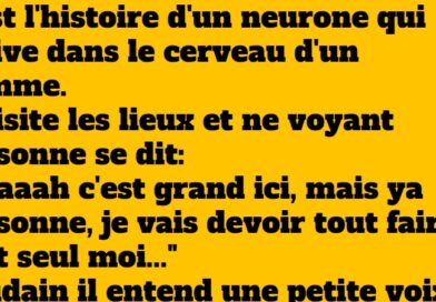 blague neurone