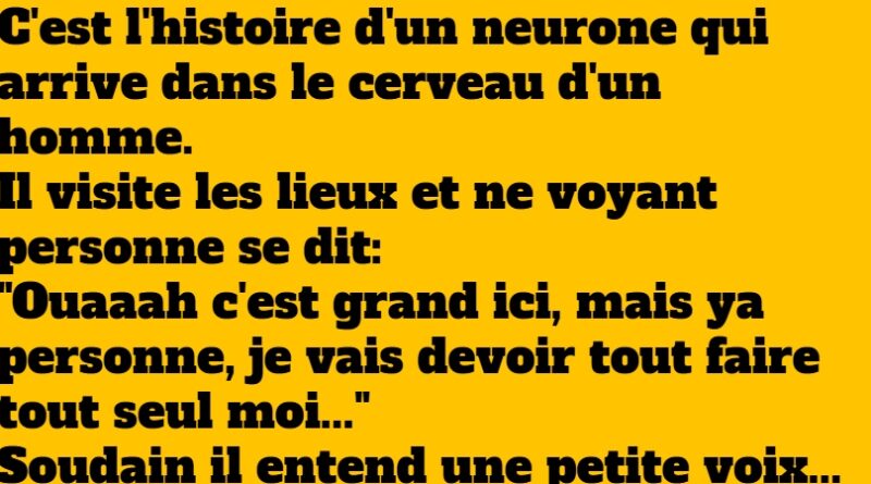 blague neurone