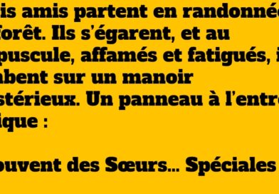 blague sœurs