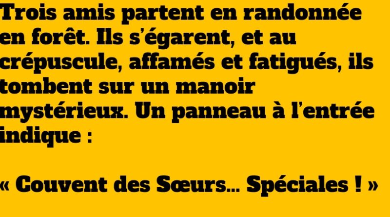 blague sœurs