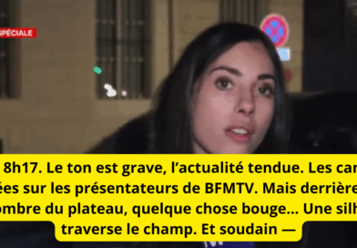 bfm tv