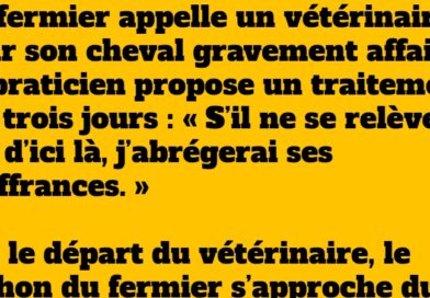 blague cochon