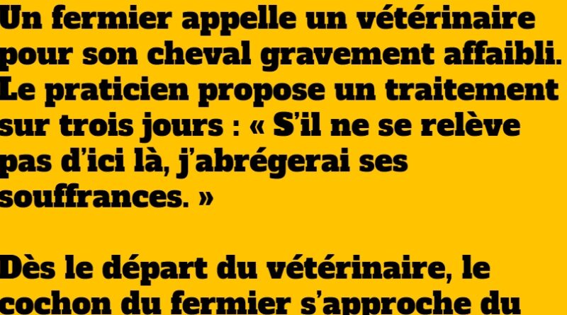 blague cochon