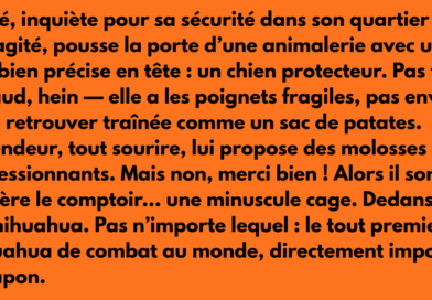 blague meme quatier chaud