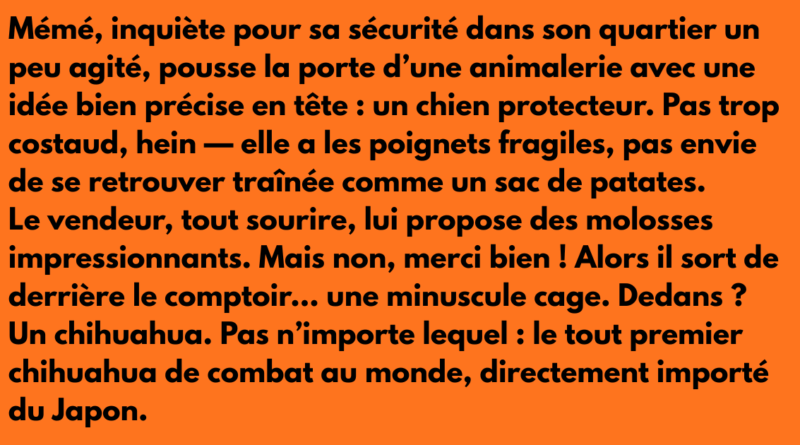 blague meme quatier chaud