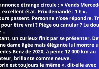 blague mercedes à vendre