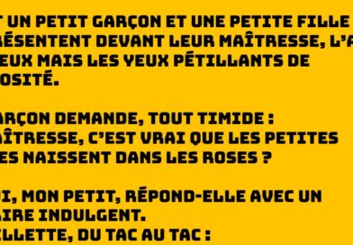 Dans l’oignon, tu ne risques rien… sauf une leçon de vie coquine !
