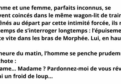 blague train