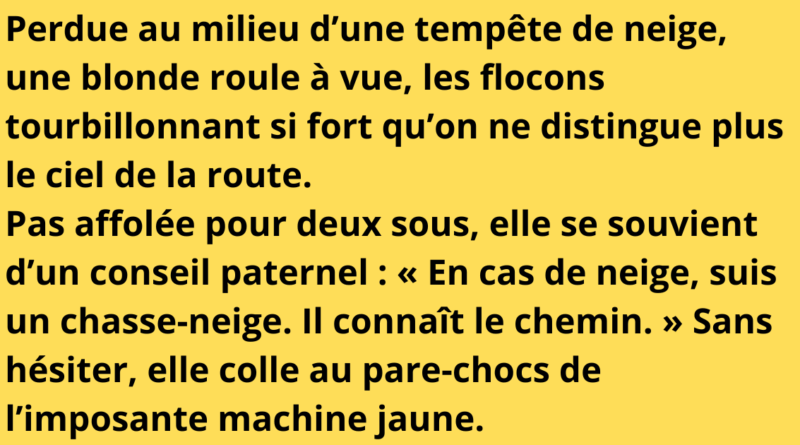 blague neige blonde