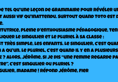 blague singuliner pluriel