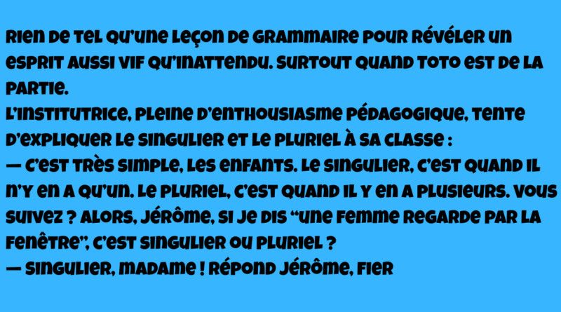 blague singuliner pluriel
