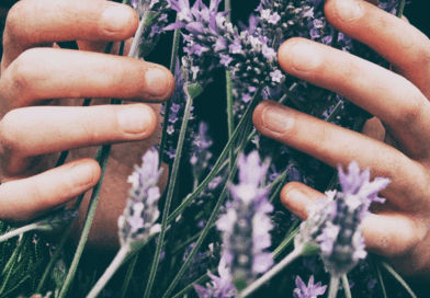 huiles essentilles pour une bonne digestion