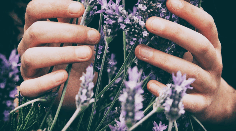 huiles essentilles pour une bonne digestion