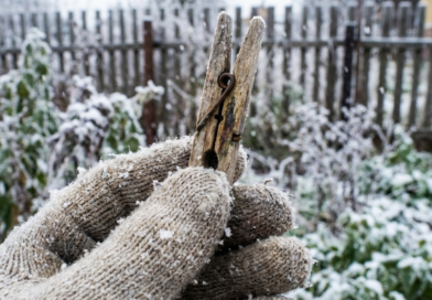 astuce pince à linge