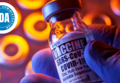 cour d'honneur de l'Elysée