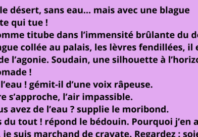 prix flambent produits festifs de noel