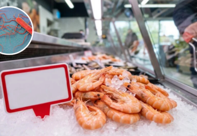 tue son chien dans un four