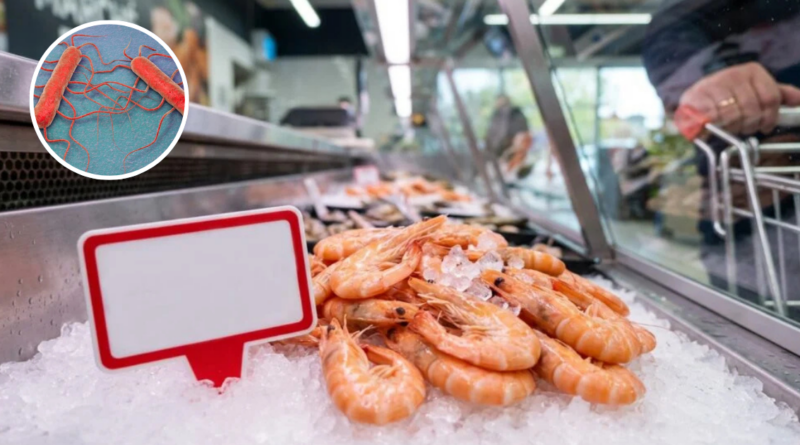 tue son chien dans un four