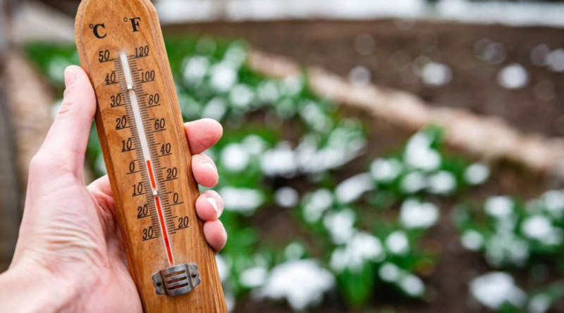 voiture electrique neige
