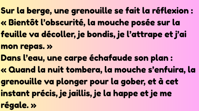 Un jeune Belge vient tout juste d’épouser une magnifique jeune femme. Le lendemain matin, ses amis le croisent par hasard et lui lancent « Alors, cette nuit de noces, ça a donné quoi » « Oh, je (1)