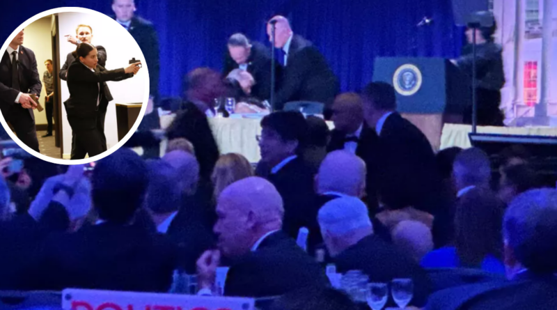 Un jeune Belge vient tout juste d’épouser une magnifique jeune femme. Le lendemain matin, ses amis le croisent par hasard et lui lancent « Alors, cette nuit de noces, ça a donné quoi » « Oh, je (1)