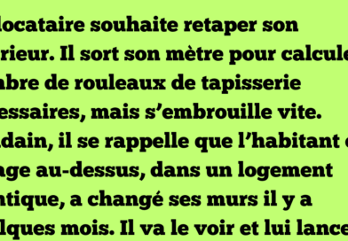 Un jeune Belge vient tout juste d’épouser une magnifique jeune femme. Le lendemain matin, ses amis le croisent par hasard et lui lancent « Alors, cette nuit de noces, ça a donné quoi » « Oh, je